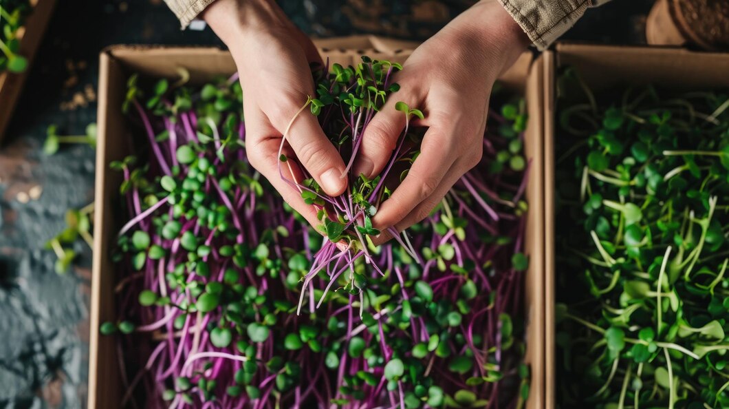 https://microleaves.ca/images/contact/1740590840_contact-banner.jpg